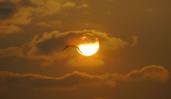 Рассвет над Тихим океаном