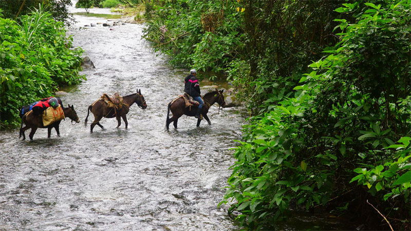 Переправа через реку