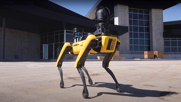 Робот-собака, используемый в ЦОДе Novva