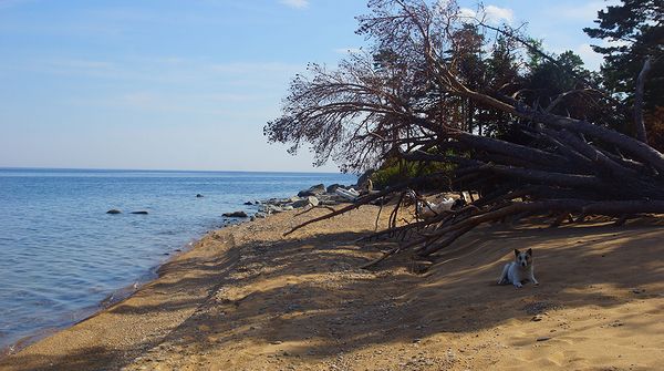 Берег Байкала