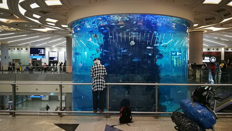 В аэропорту Джидды