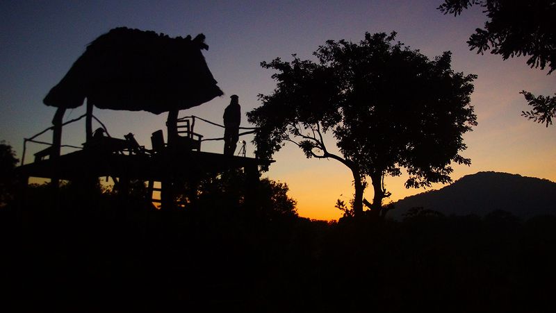 Рассвет на реке Шире