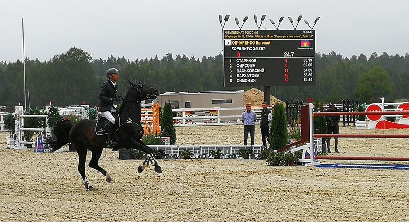 Чемпионат России по конкуру