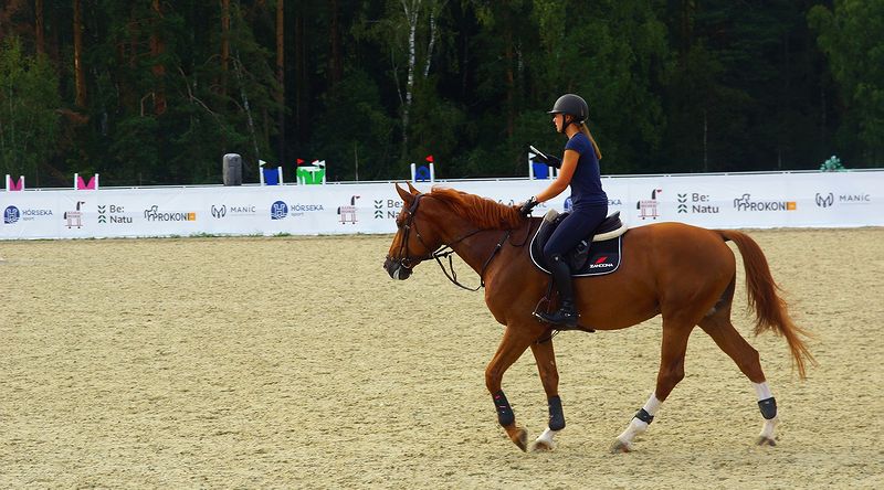 С помощью смартфона конники контролируют состояние лошади