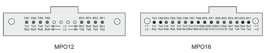 Соответствие отдельных спектральных каналов посадочным местам вилки групповых наконечников MPO12 и MPO16