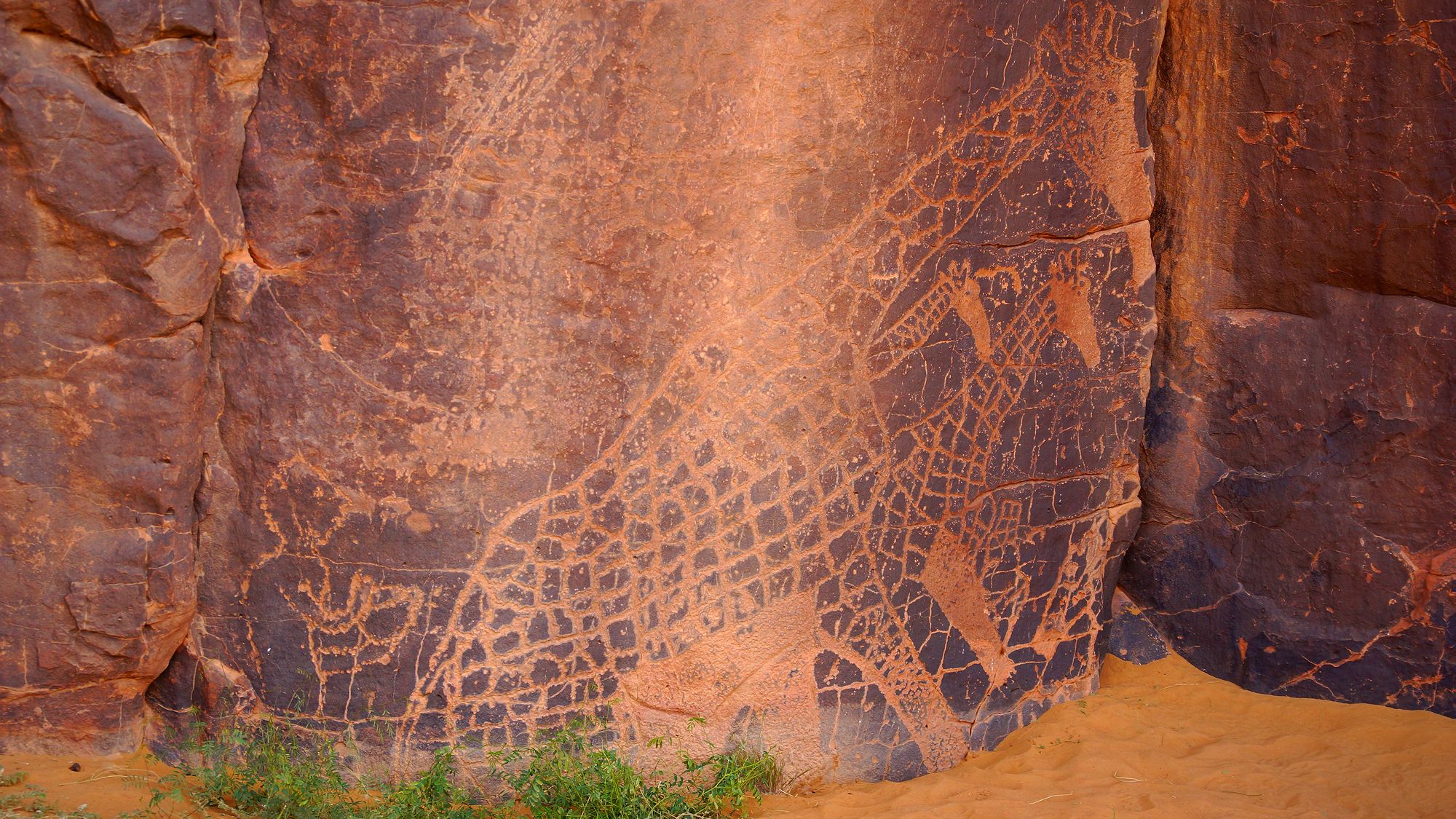 «Марсианин» и жирафы. Рисунок «эпохи буйвола»