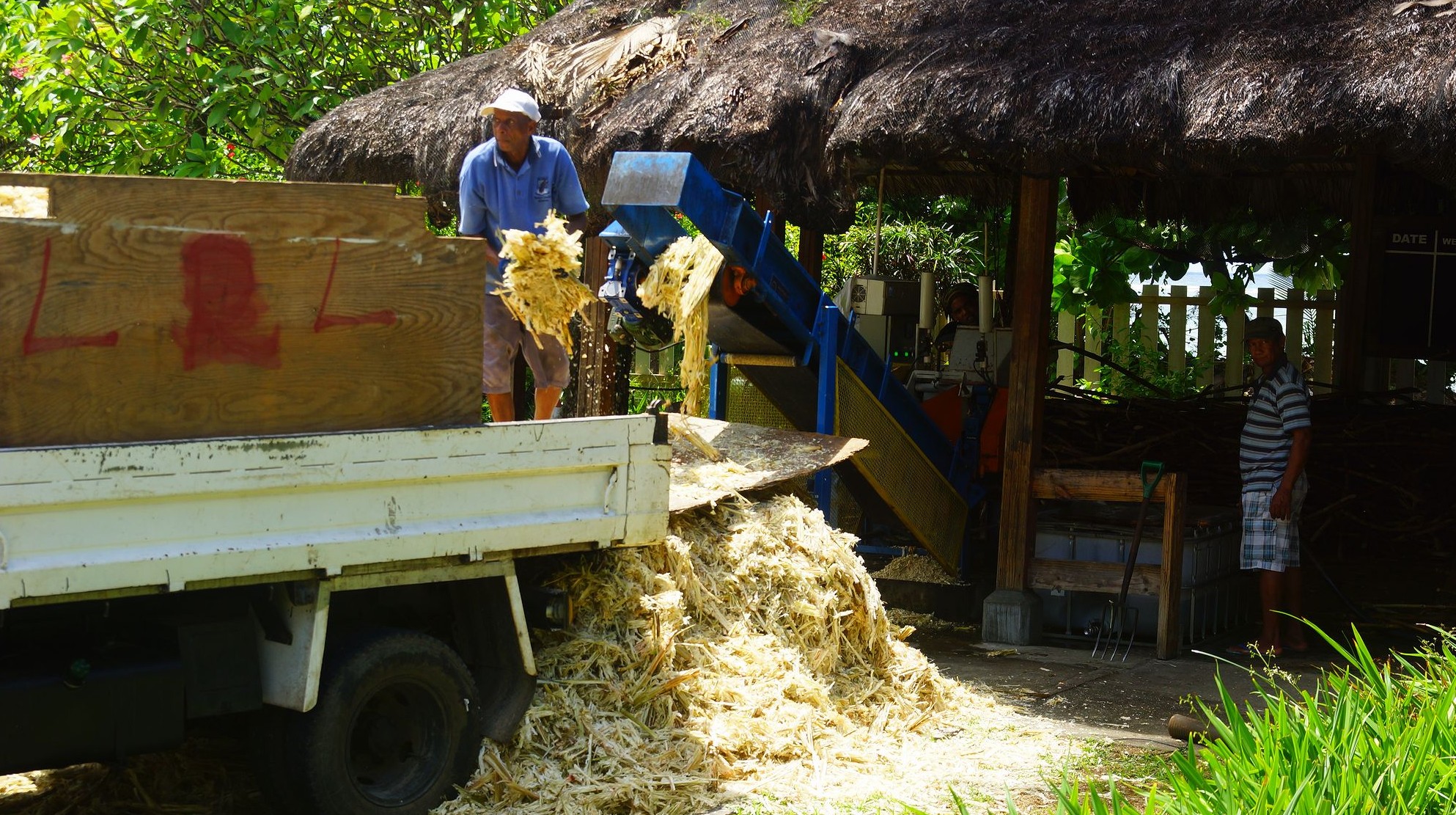 Аппарат для измельчения стеблей сахарного тростника на ромовой фабрике