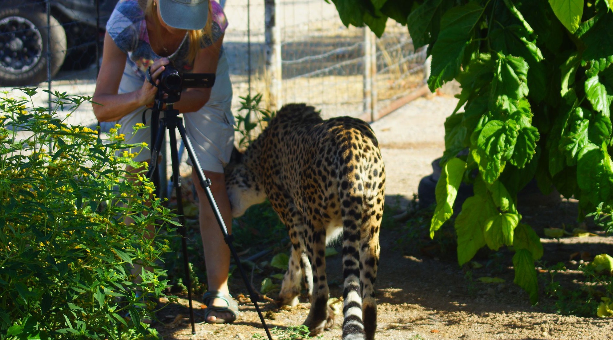 Момент укуса