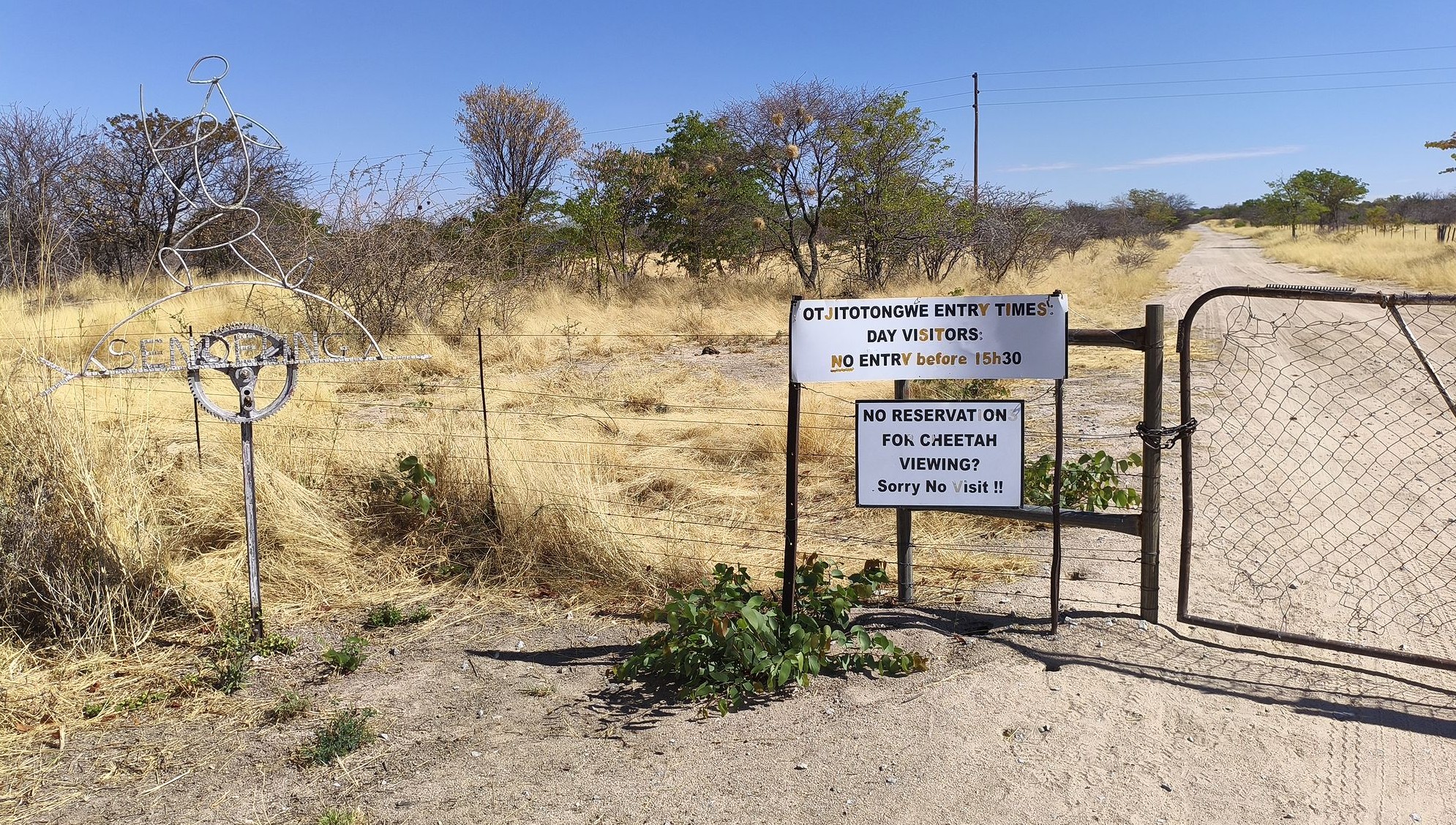 Первые ворота