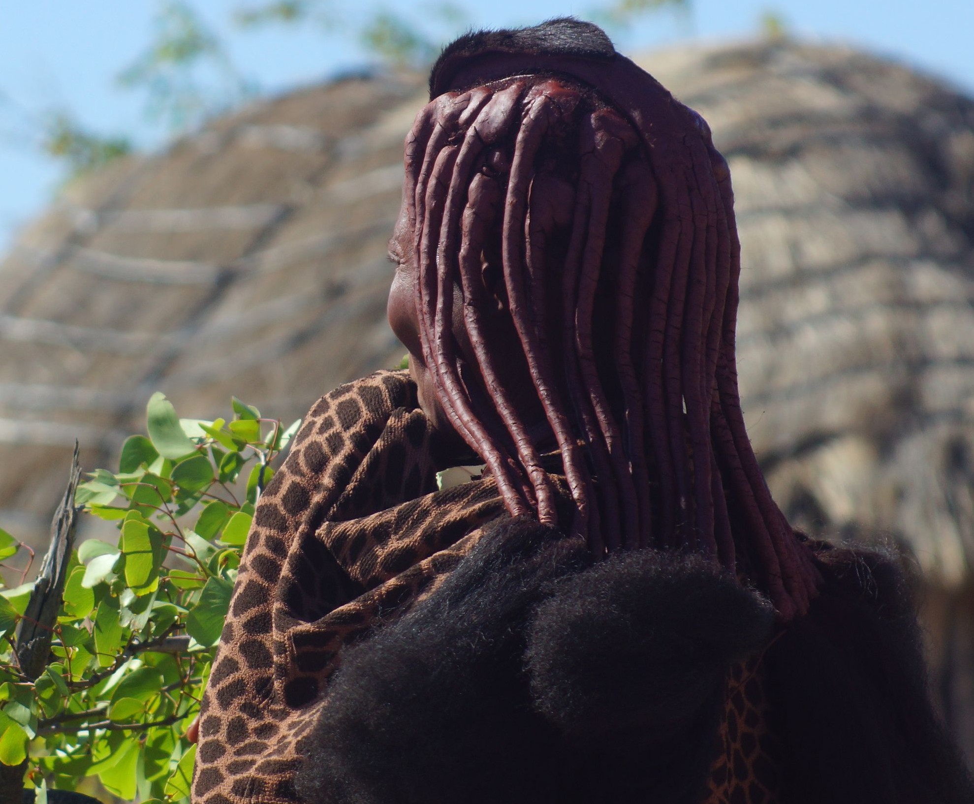  Прически мутуа