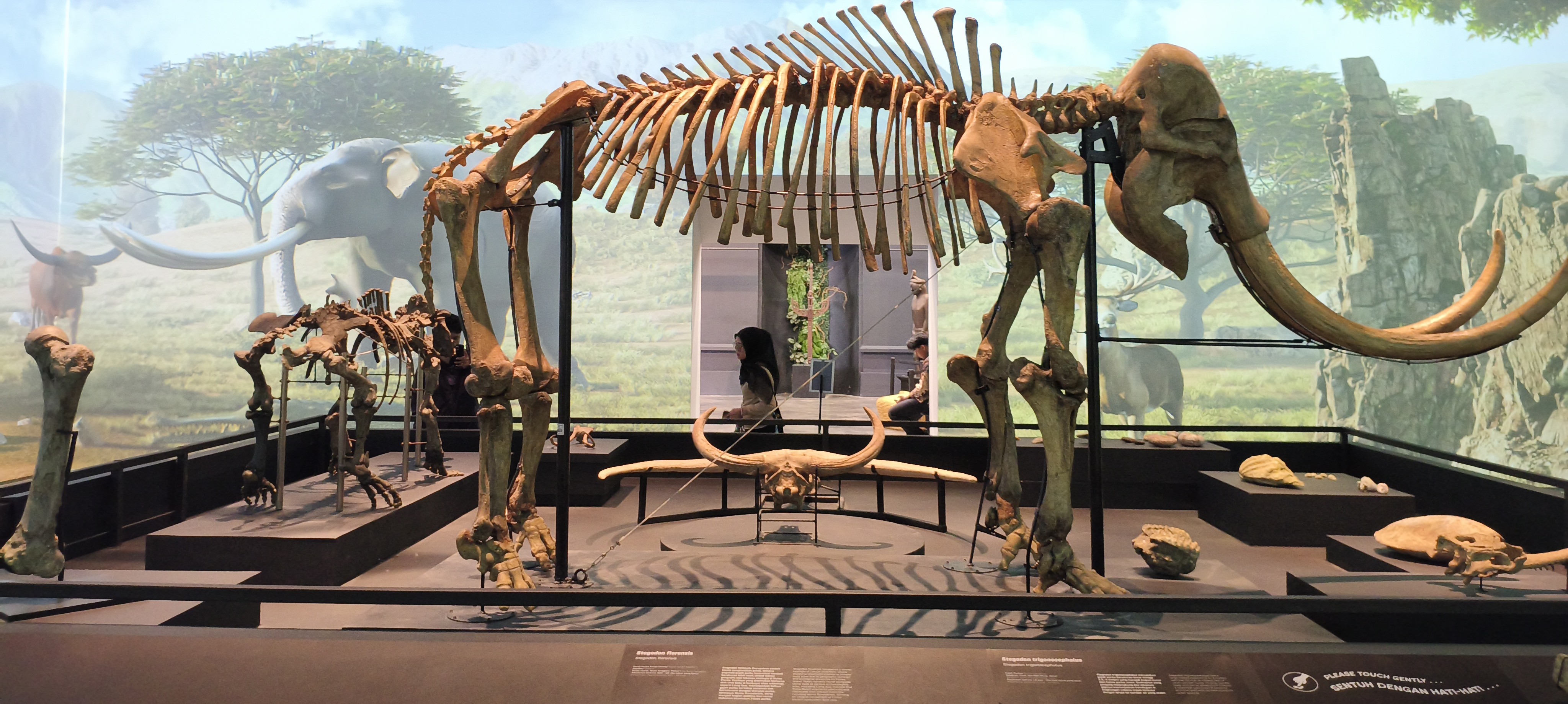 В Национальном музее Индонезии В Национальном музее Индонезии