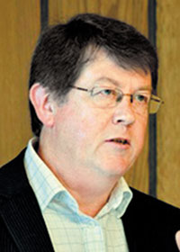 Грег ШЕРРИ, профессор, Московский государственный университет экономики, статистики и информатики 